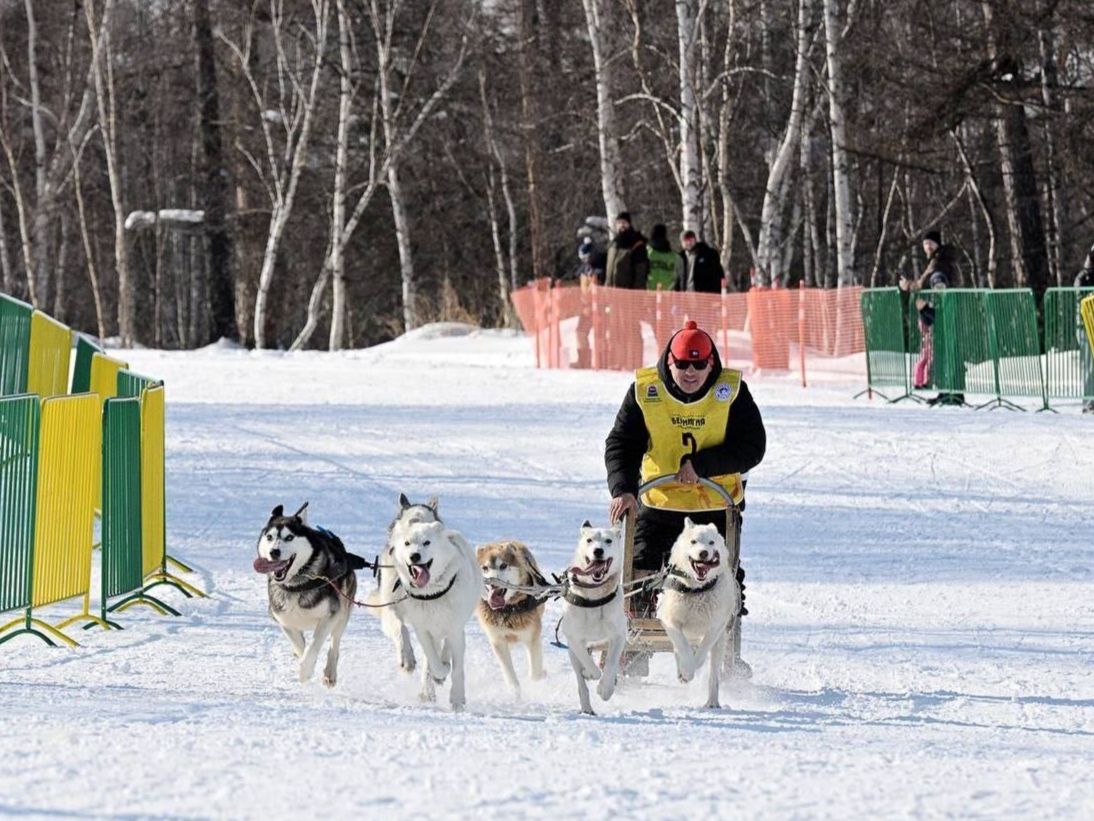 Фото: Правительство Камчатского края