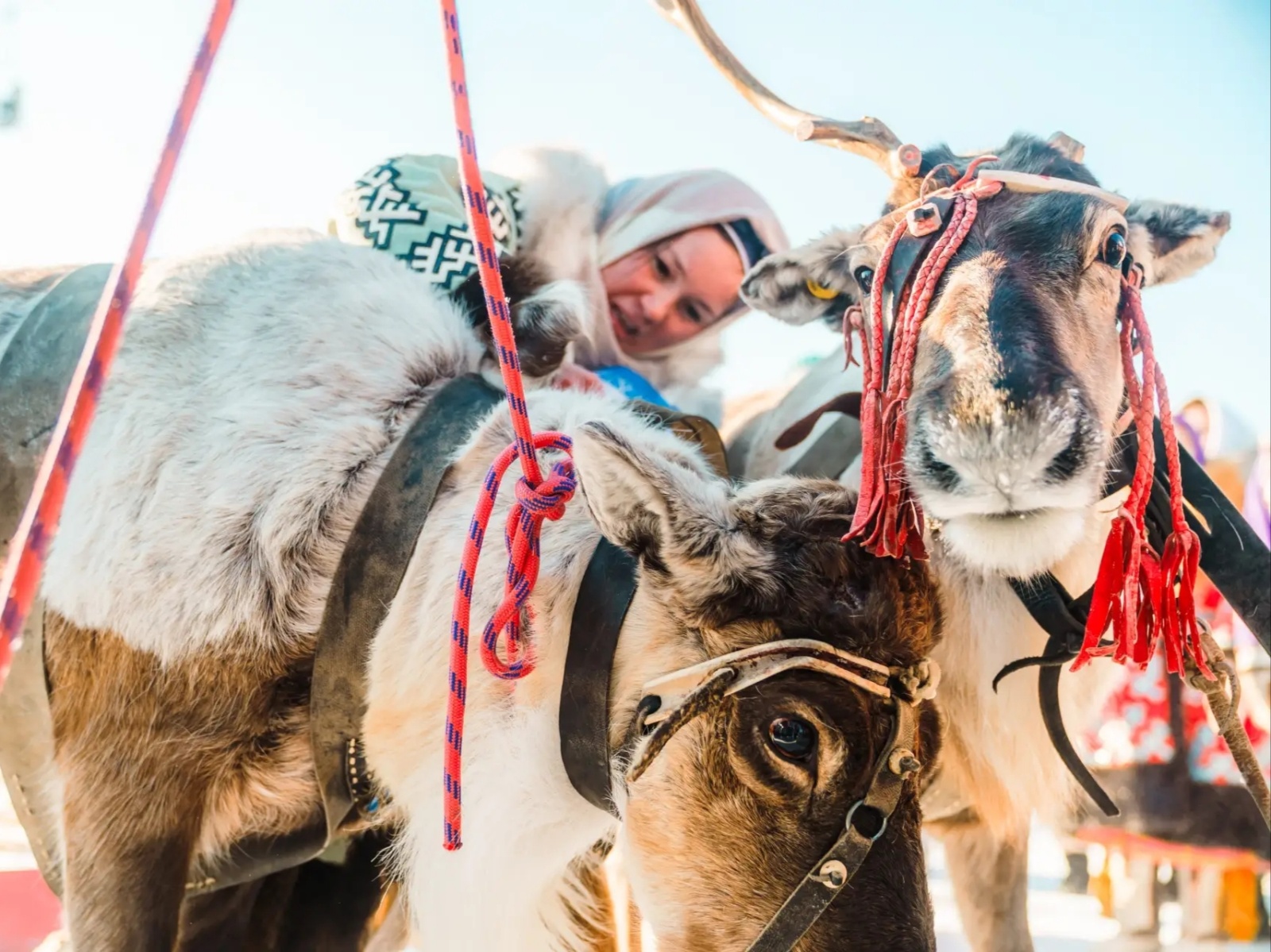 Фото: Центр социальных медиа Югры